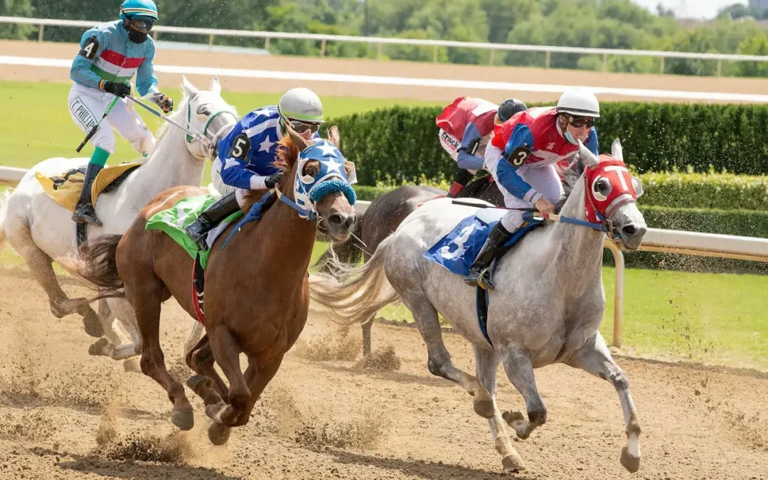 Mastering the Odds: Essential Tips to Bet on Horse Racing Successfully