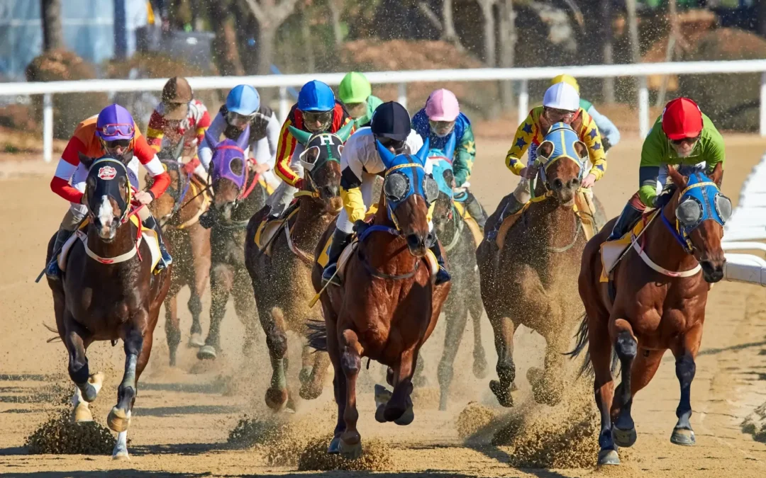 Galloping Glory: A Beginner’s Guide to Horse Racing