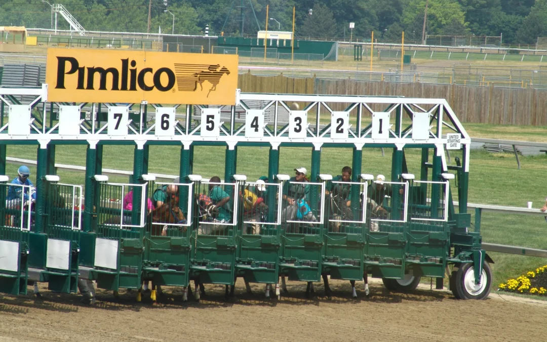 Box Bet vs. Straight Bet: Which is Better for Horse Racing Beginners?