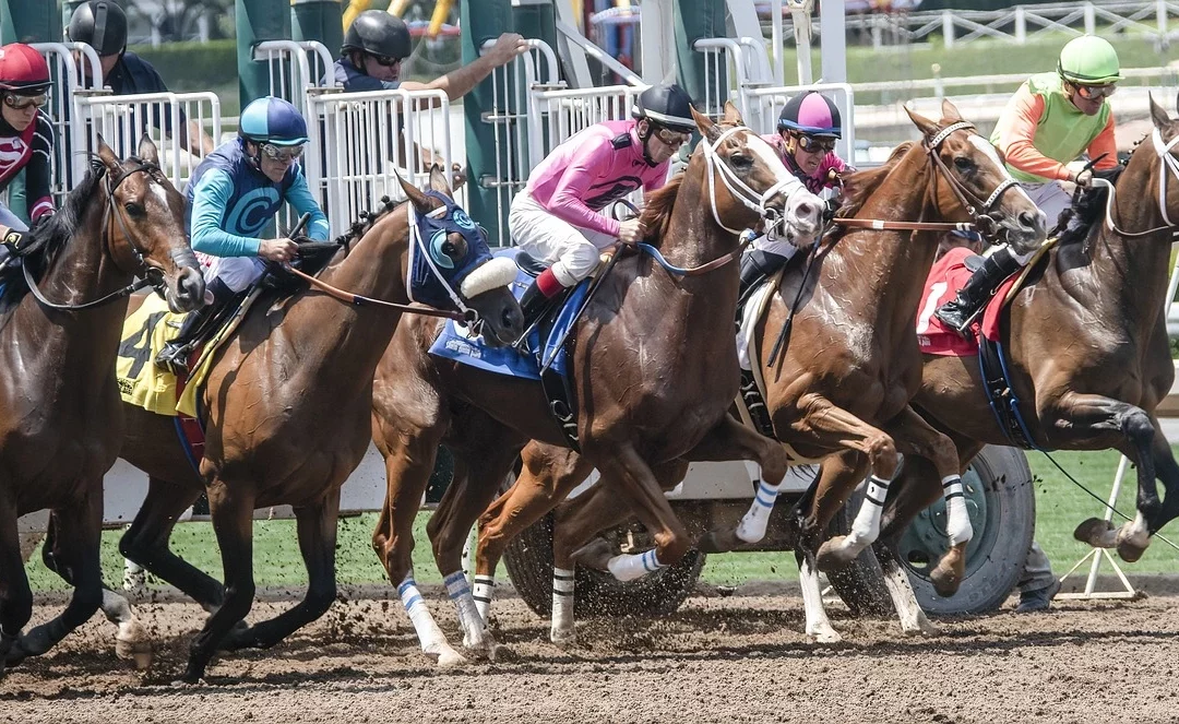 Cinq erreurs à éviter en pari de course hippique